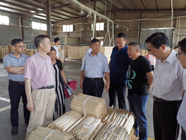 集团副总裁蒋金华带队赴沭阳调研木材家居产业